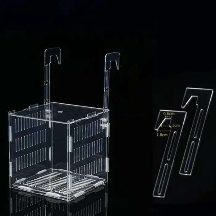 Bac-separateur-aquarium-crevettes