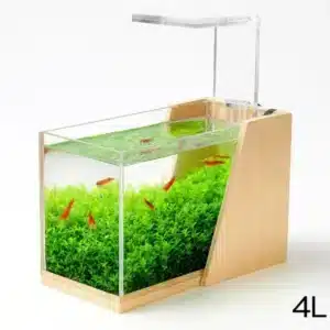 Crevette-Aquarium-Eau-Douce-4L