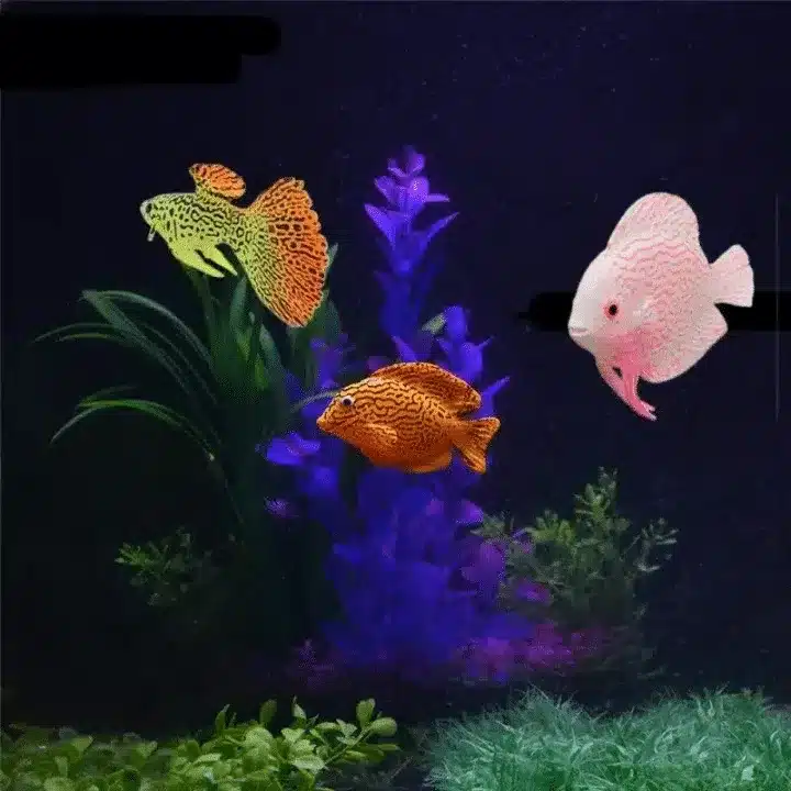 Vente faux poisson pour aquarium tropical