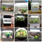 H093d5c7f27e64845823e3dbaefdbdb2 (2)