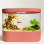 Kit-Crevette-Aquarium-4L-elegant-rose