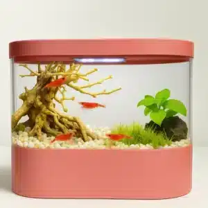 Kit-Crevette-Aquarium-4L-elegant-rose