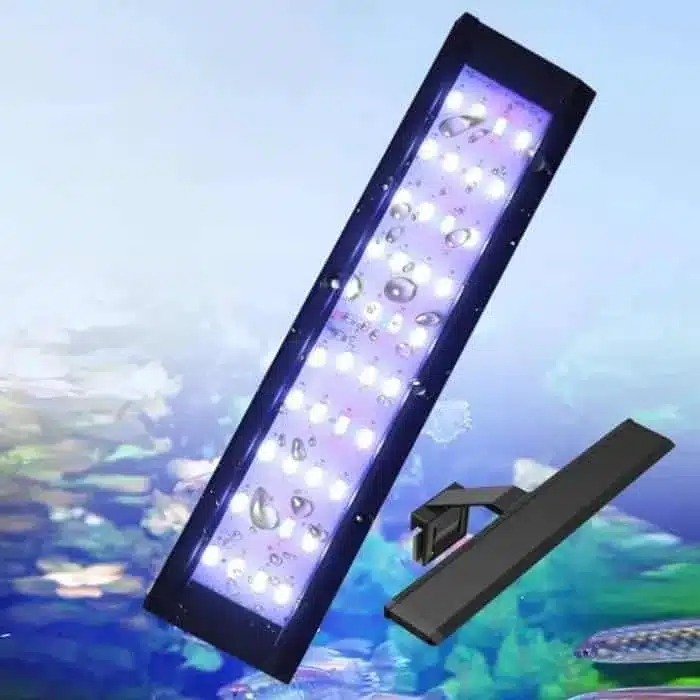 Quelle Eclairage LED pour aquarium froid 20l 