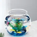 Petit Aquarium Rond 10L Renforcé