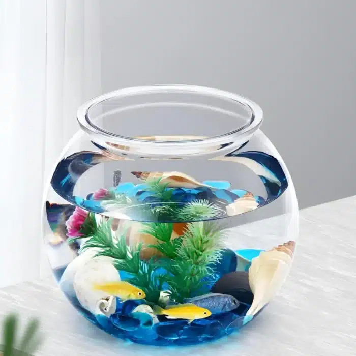 Petit Aquarium Rond 10L Renforcé