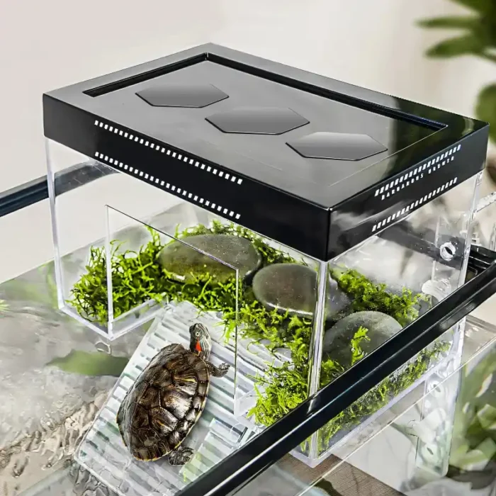 Plateforme pour Tortue d Eau Ajustable
