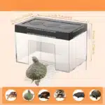 Plateforme-pour-Tortue-d-Eau-plastique