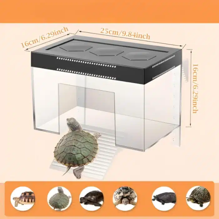 Plateforme-pour-Tortue-d-Eau-plastique