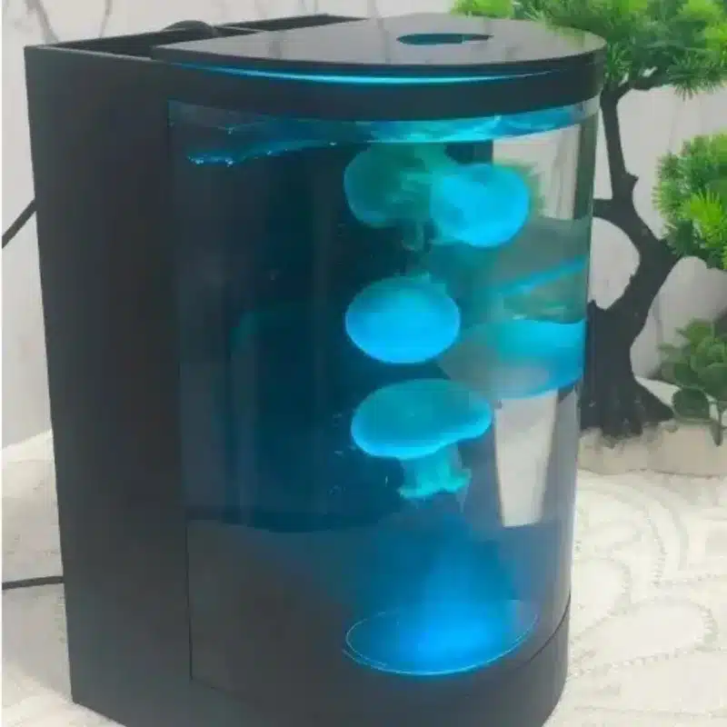 Quel-Aquarium-pour-Meduse-led-3l