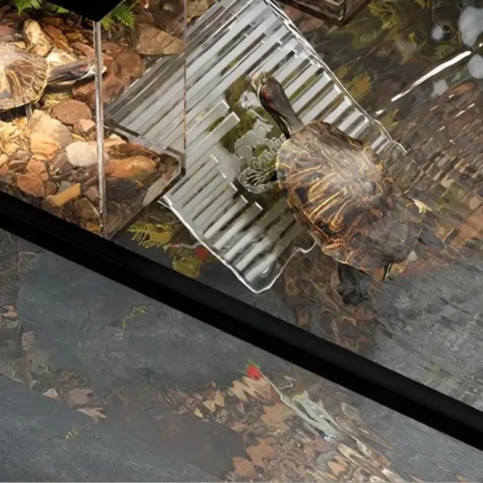 S02c91cad65dd4b1f9bd99ab83787009 Cropped-fotor-enhance-20251127121111