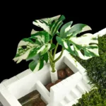 S2e5380df8da94f14aa7e41512816a7f_cleanup-fotor-enhance-20251126182218 (1)