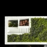 S2fa596e8a67f4edb8f322e80ebab151_cleanup (1)