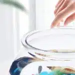 S38f5b7c1941242acadb094b08134077_cleanup