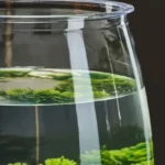 S4b87765393b14ae18ac570bc8c865b2_cleanup