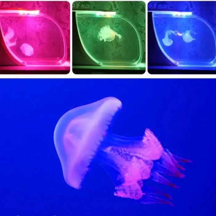 S4e1aa44b5f5a40b58236feae6558391 Cropped (1) copie