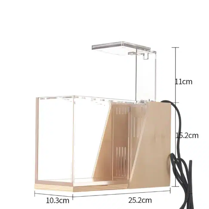 S7fedab7a51af4ba79d77dfb72225ba9_cleanup-fotor-enhance-20251123145701