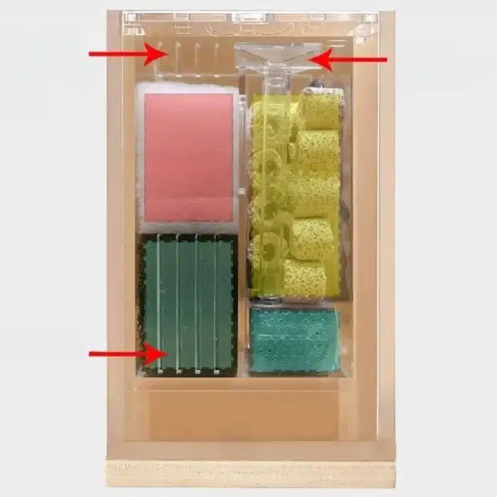 S810e1c42a0964a7795b80053d29c29c_cleanup Cropped