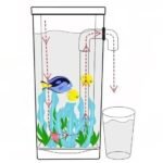 Sc490447b70664f8aa1485a8c107b2c6_cleanup Cropped