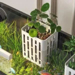 Support Plante Aquarium en Plastique