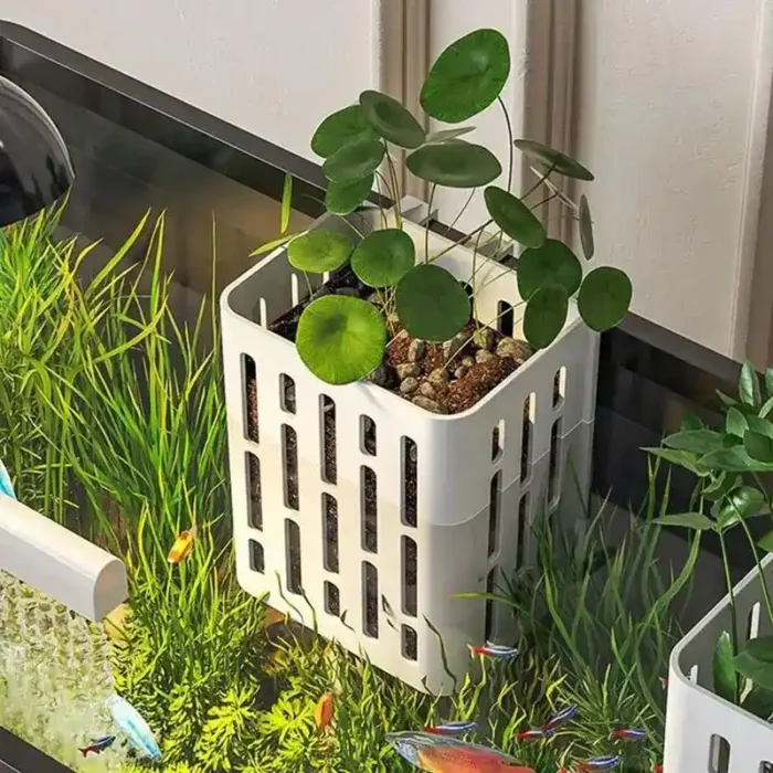 Support Plante Aquarium en Plastique