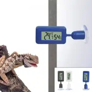 Thermomètre Terrarium Digital pour Reptile