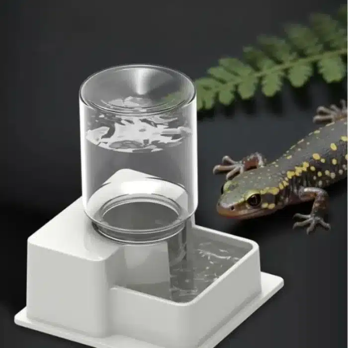abreuvoir-avec-réserve-pour-reptile