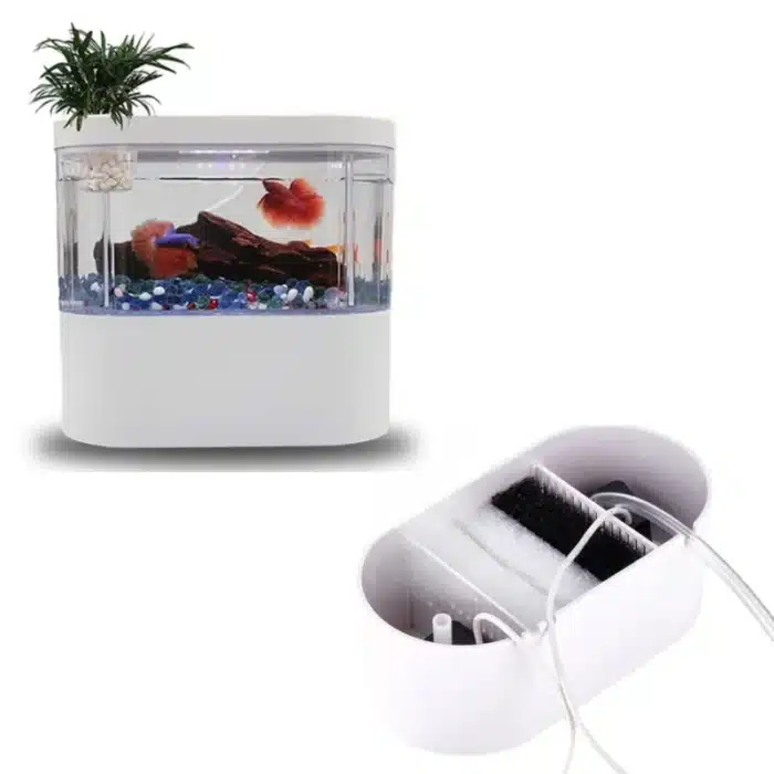 aquarium-4l-design-petit-avec-eclairage-led-et-filtre