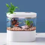 Aquarium 4L Design Petit de Bureau USB