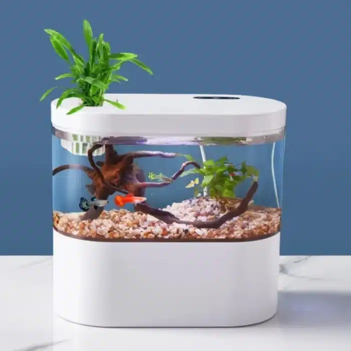 Aquarium 4L Design Petit de Bureau USB