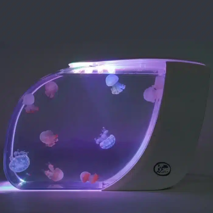 aquarium a meduse filtration double 15l eclairage led