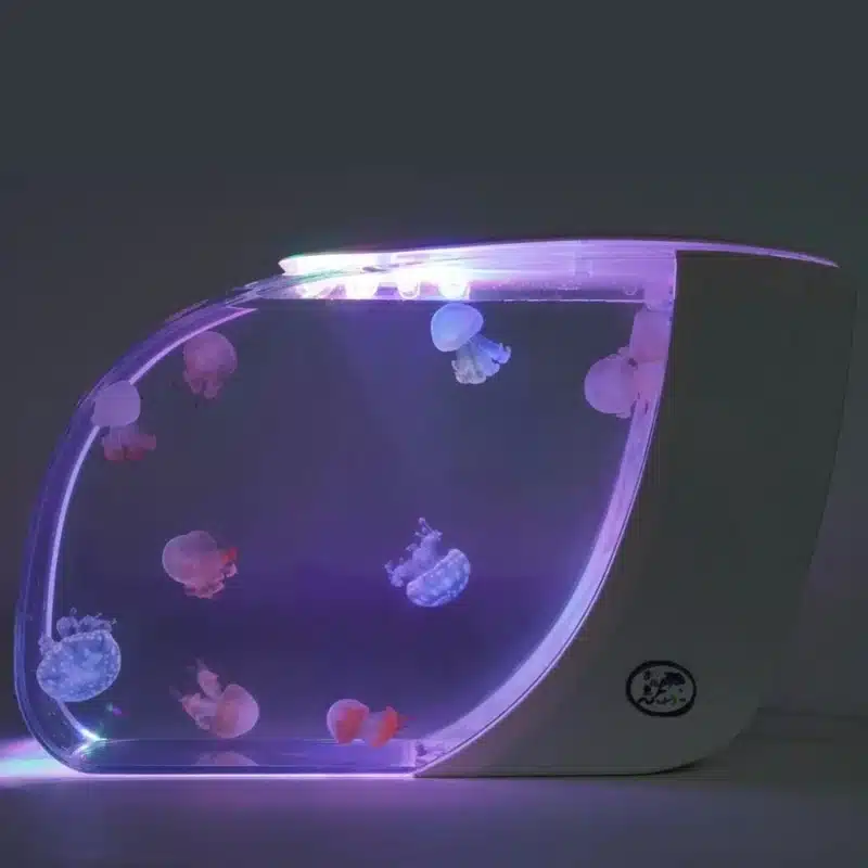 Aquarium a Meduse Filtration Double 15L