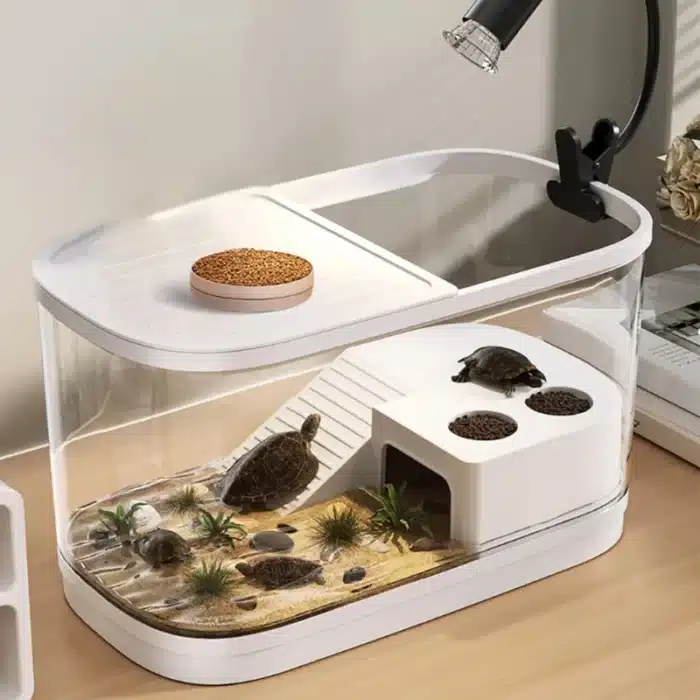 aquarium pour mini tortue aquatique 20l