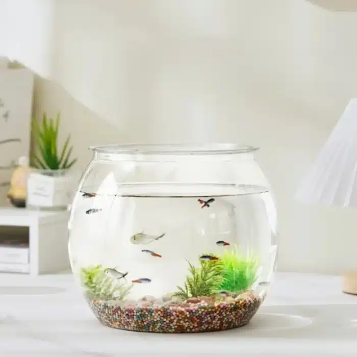 Aquarium Rond 20L Transparent pour Poissons en plastique