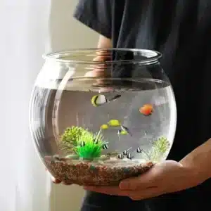 Aquarium Rond 20L Transparent pour Poissons