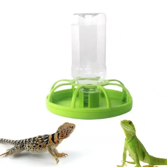 distributeur-eau-reptile-automatic-lezard