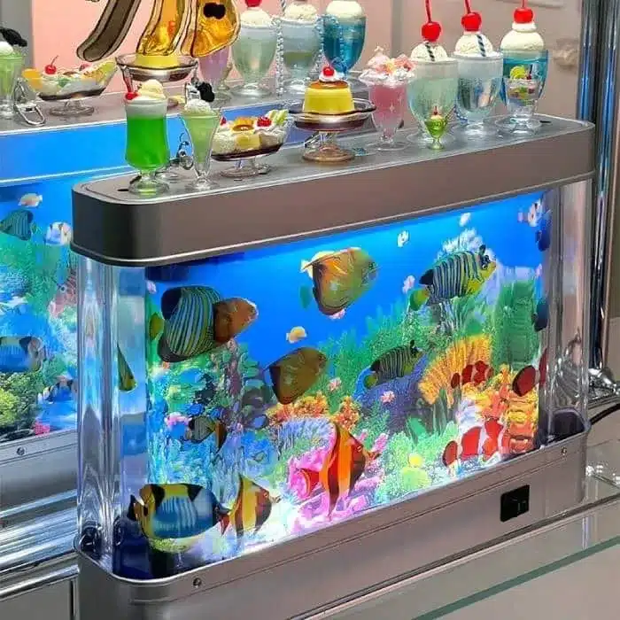 Quel petit aquarium choisir selon votre espace et vos envies faux aquarium