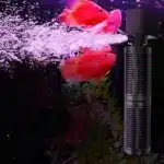 filtre interne aquarium 100l à double cartouche