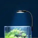 Meilleur Petite Lampe LED pour Nano Aquarium 20L