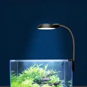 Meilleur Petite Lampe LED pour Nano Aquarium 20L