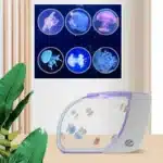 meilleur-achat-aquarium-meduse-blanc