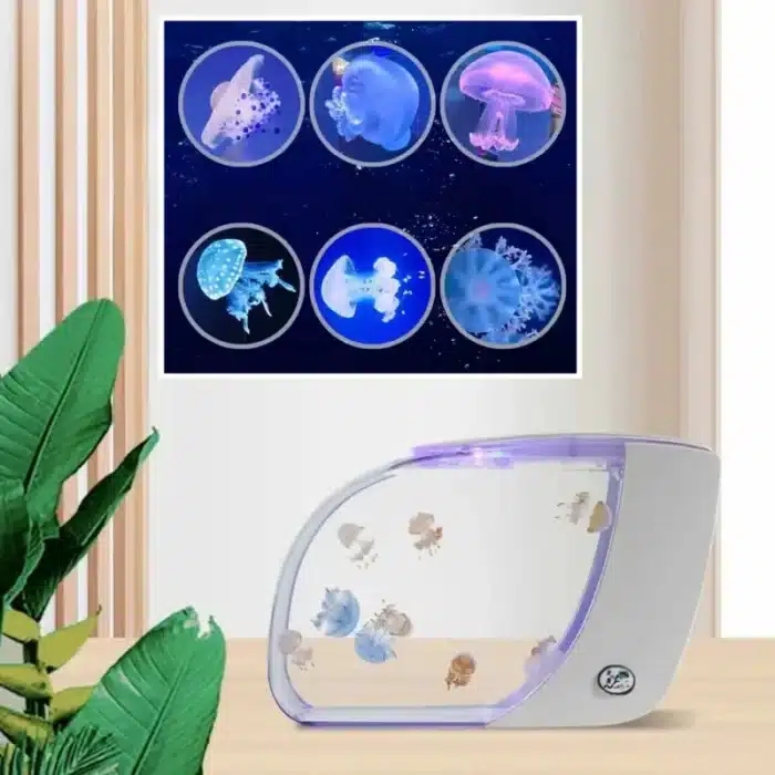 meilleur-achat-aquarium-meduse-blanc