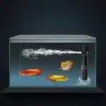 meilleur filtre interne aquarium 100l