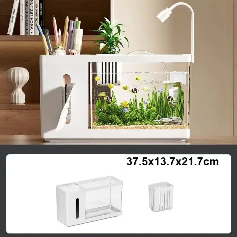 Petit Aquarium de Bureau avec Rangement 10L