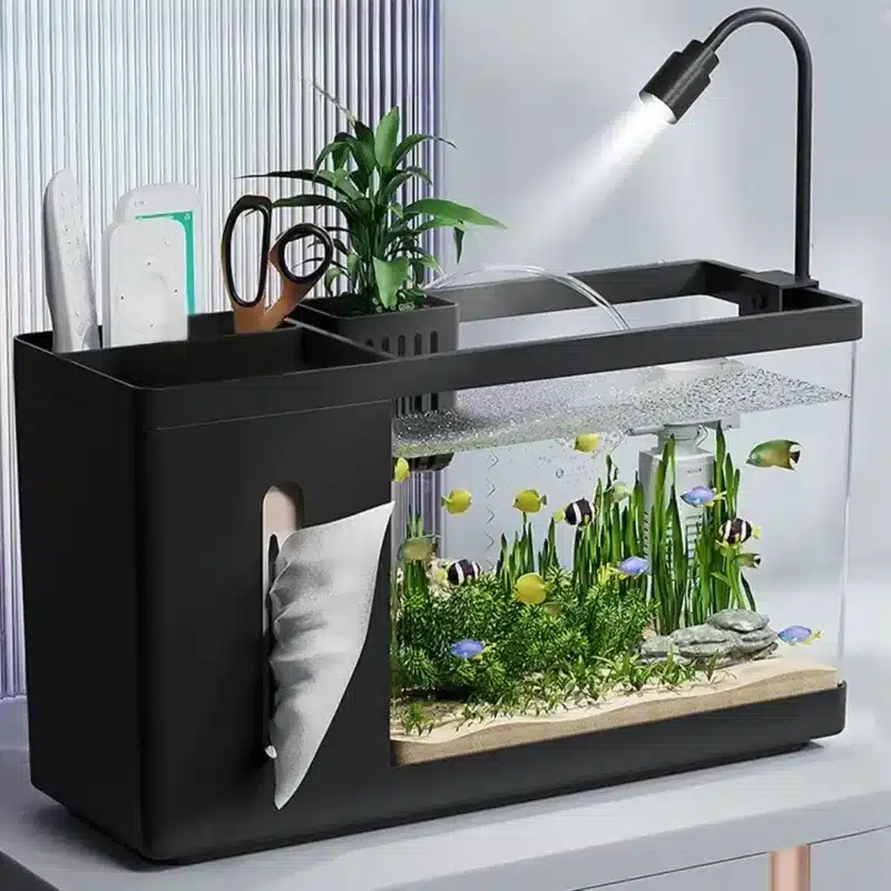 Quel petit aquarium choisir de bureau