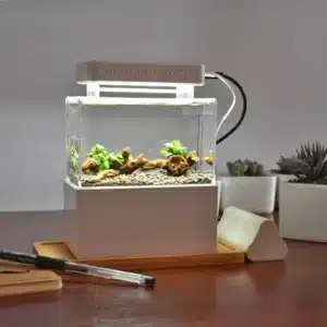 mini-aquarium-2l-blanc-crevettes