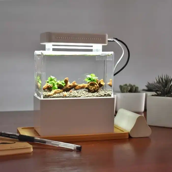 mini-aquarium-2l-blanc-crevettes