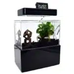 mini-aquarium-2l-poisson-noire