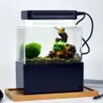 mini-aquarium-beta-2l-bureau-usb-noire