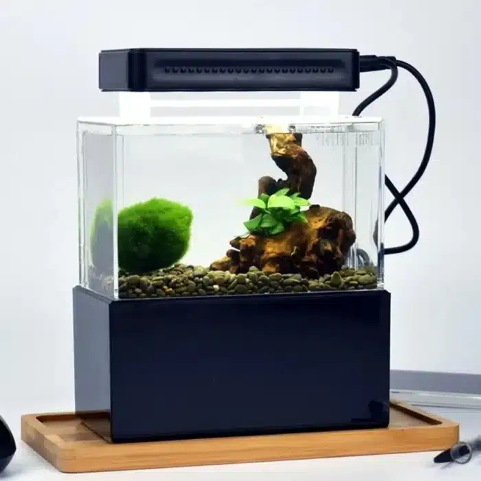 mini-aquarium-beta-2l-bureau-usb-noire