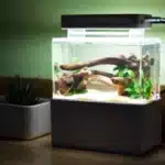 Mini Aquarium Betta 2L avec Oxygénation bureau noir